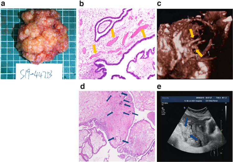 FIG. 3.