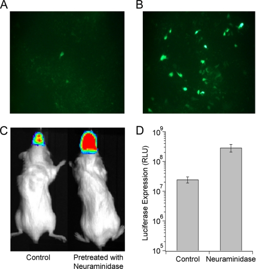 FIGURE 6.