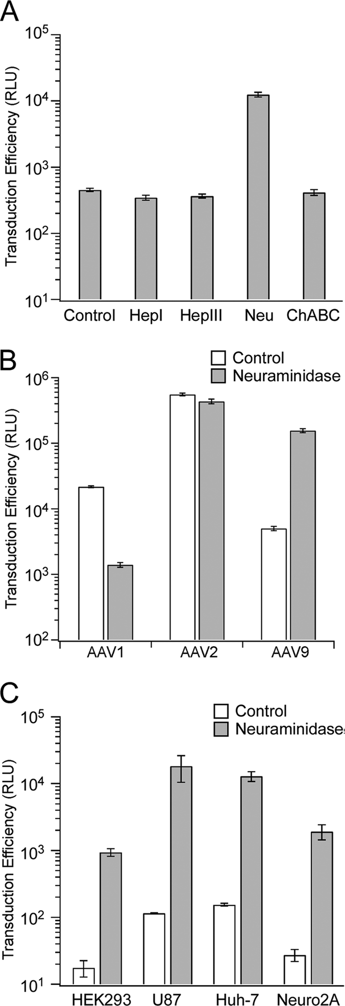 FIGURE 1.