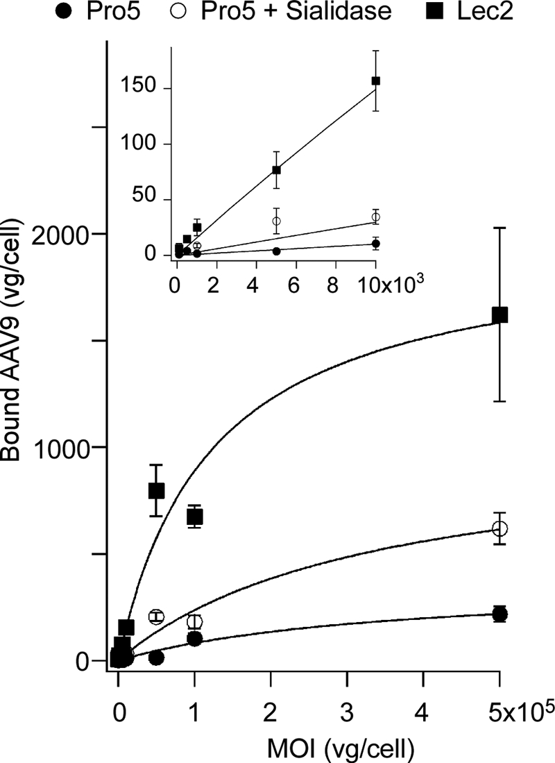 FIGURE 5.