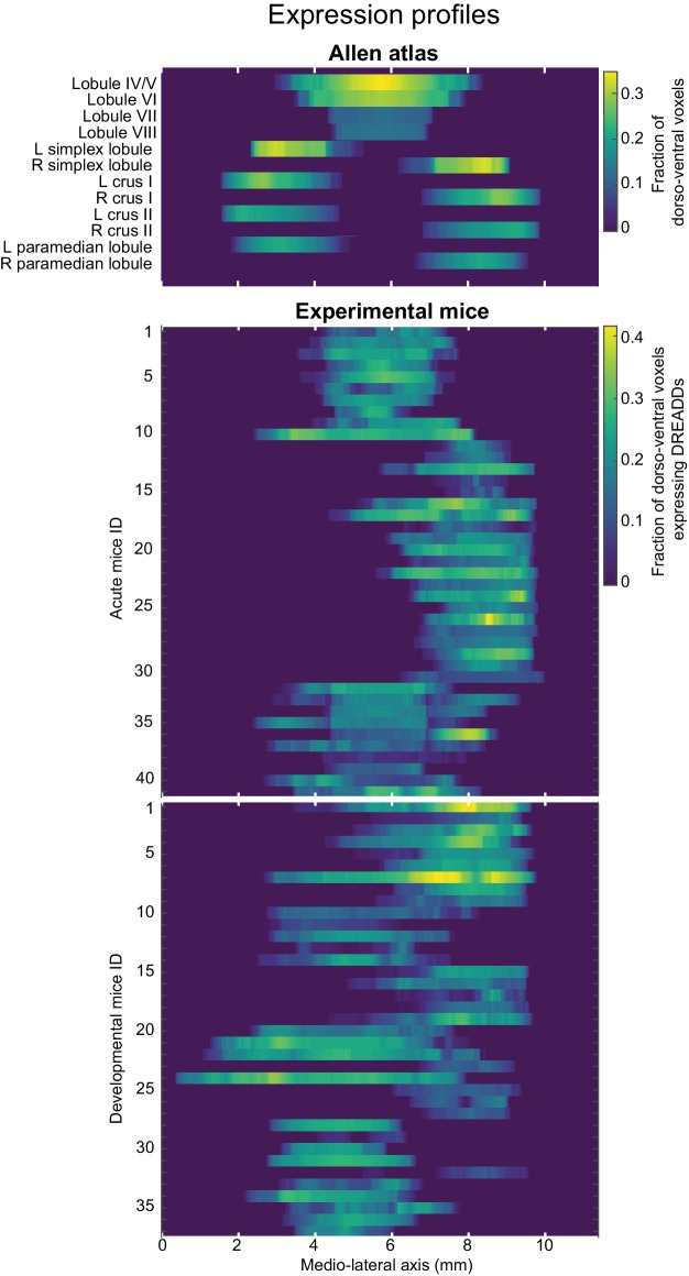 Figure 10—figure supplement 1.