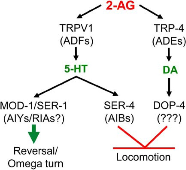 Figure 7.