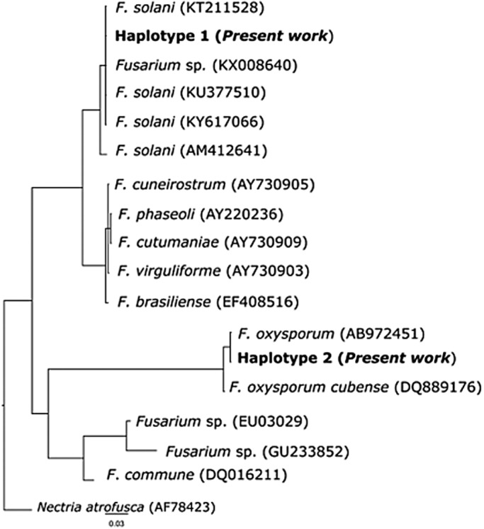 Fig. 2.