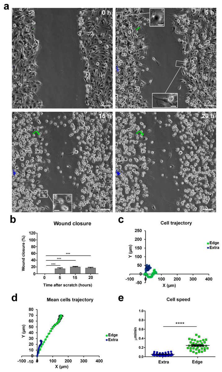 Figure 14