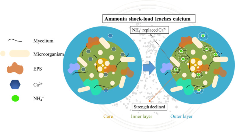 Image, graphical abstract