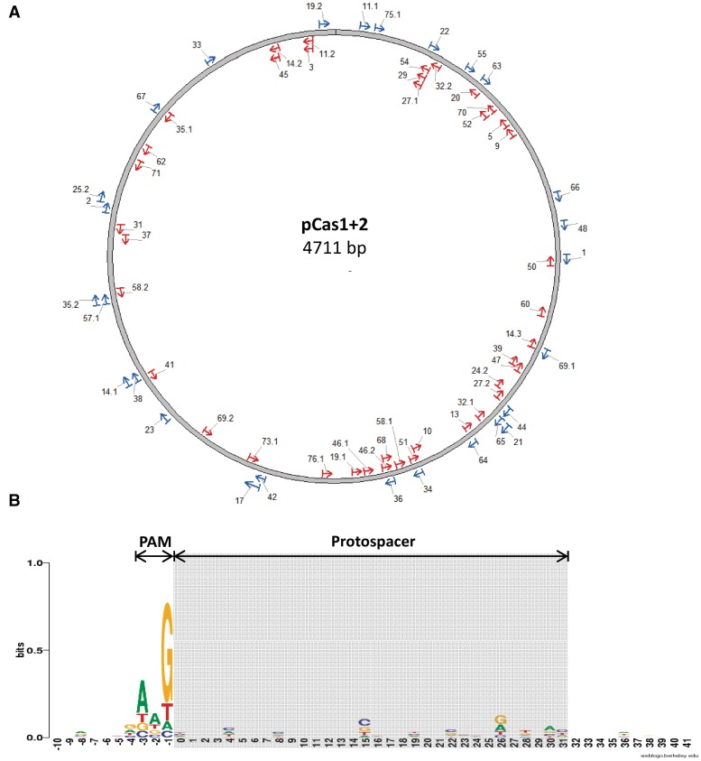 Figure 2.