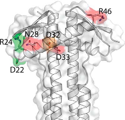 FIGURE 5.