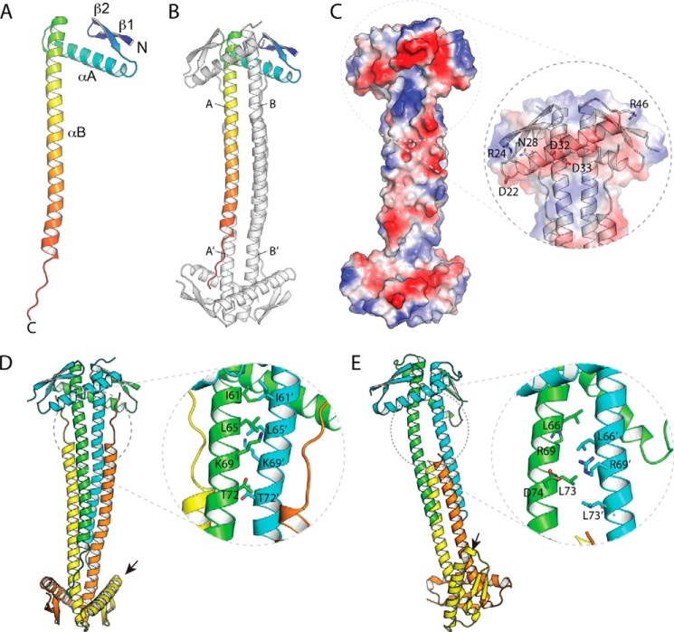 FIGURE 1.