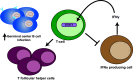 FIG 8