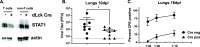 FIG 1