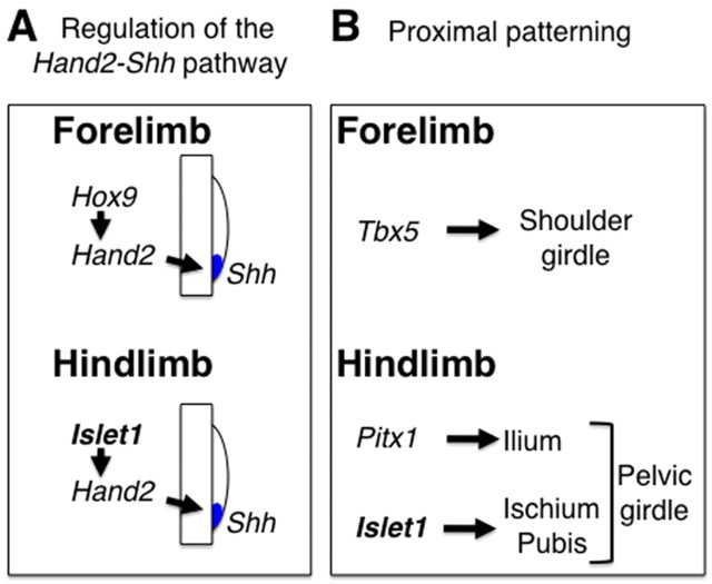 Fig. 9.