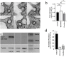 Fig 7