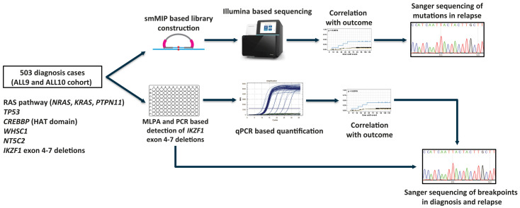 Figure 1.