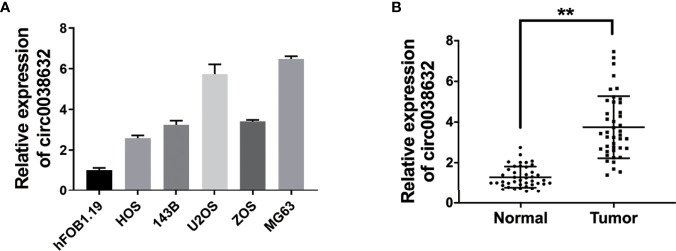 Figure 1