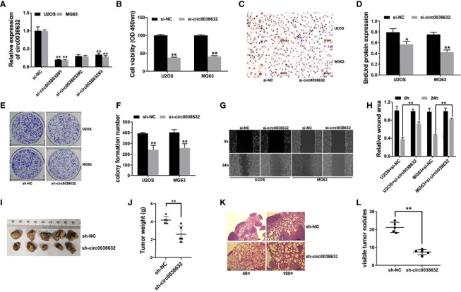 Figure 2