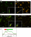 FIGURE 4.