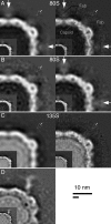 Fig. 4.