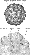 Fig. 1.