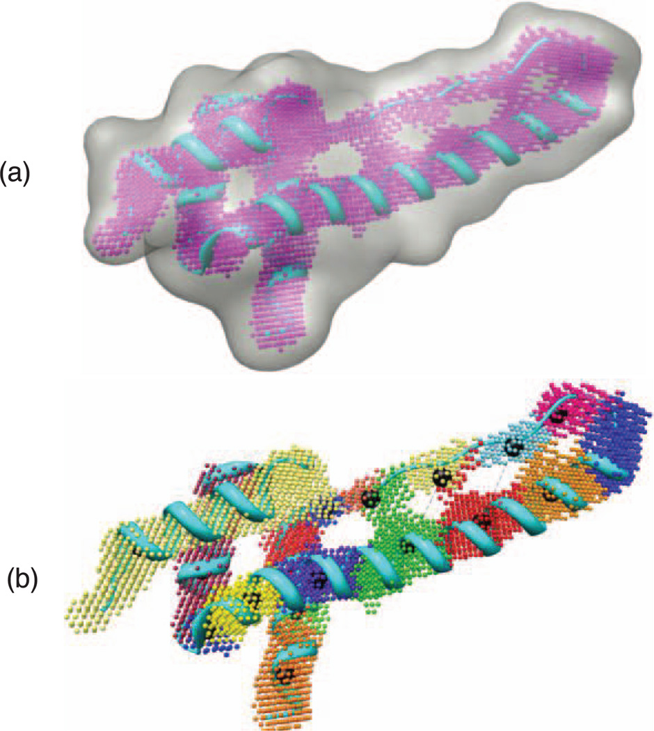 Fig. 4