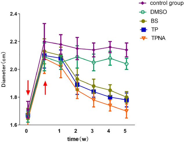 FIGURE 4