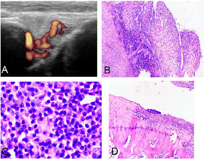 FIGURE 1