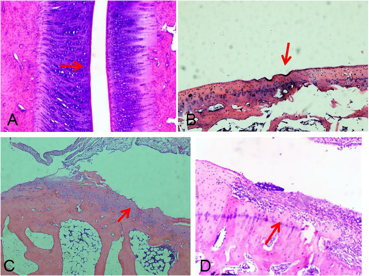 FIGURE 9