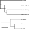 FIG. 4.