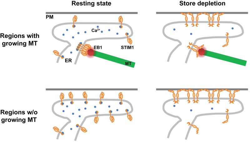 Figure 7.