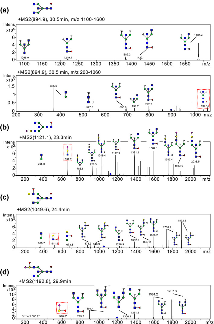 FIGURE 4