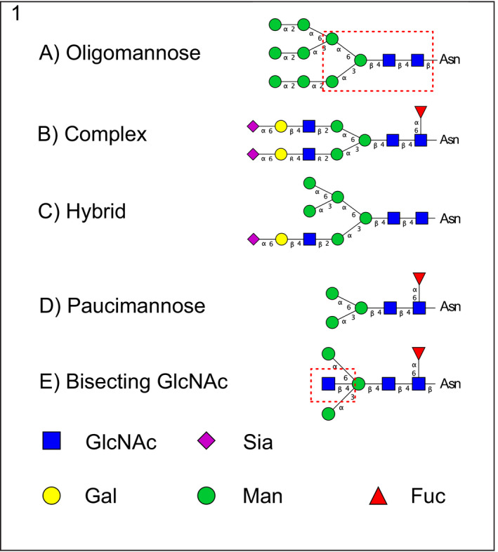 FIGURE 1