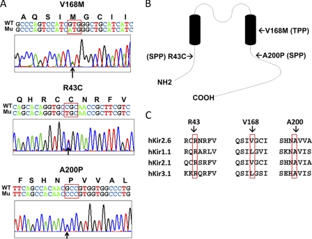 FIGURE 1.