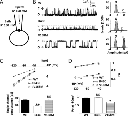 FIGURE 4.