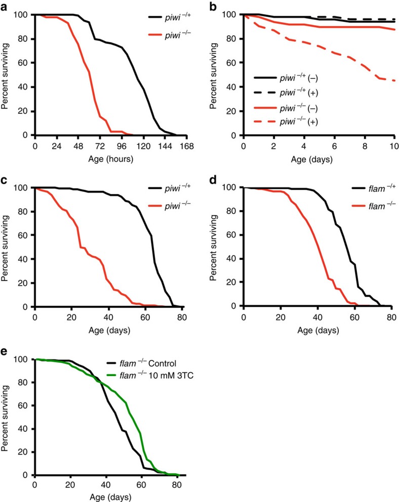 A somatic piRNA pathway in the Drosophila fat body ensures metabolic ...