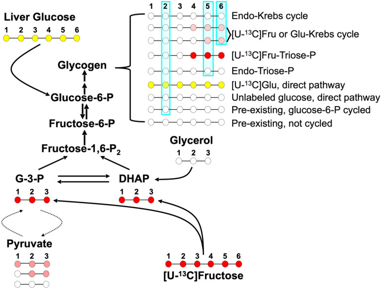 Figure 1