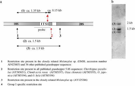 Figure 1.—