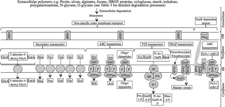 Fig 4