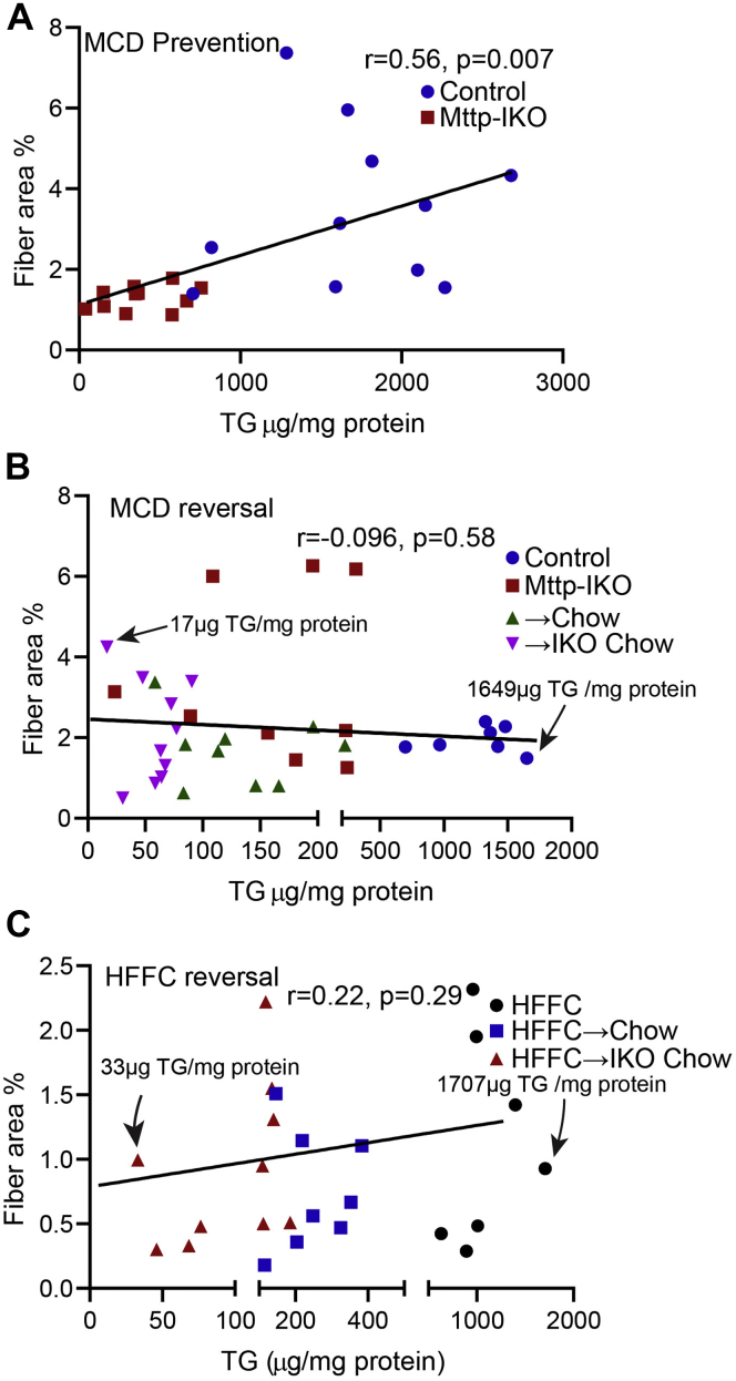 Fig. 7