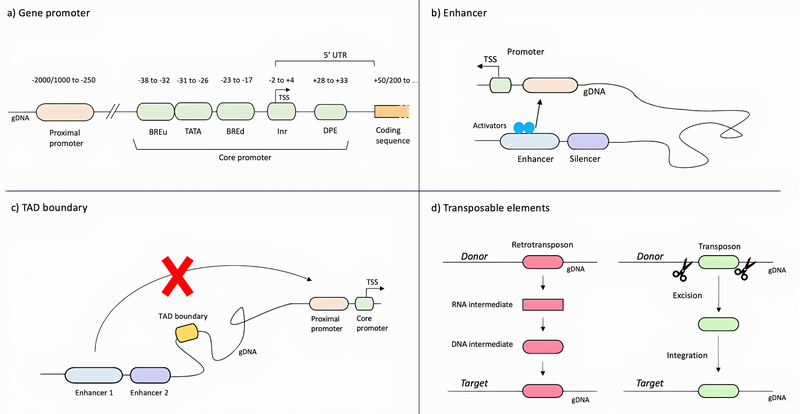 Figure 2: