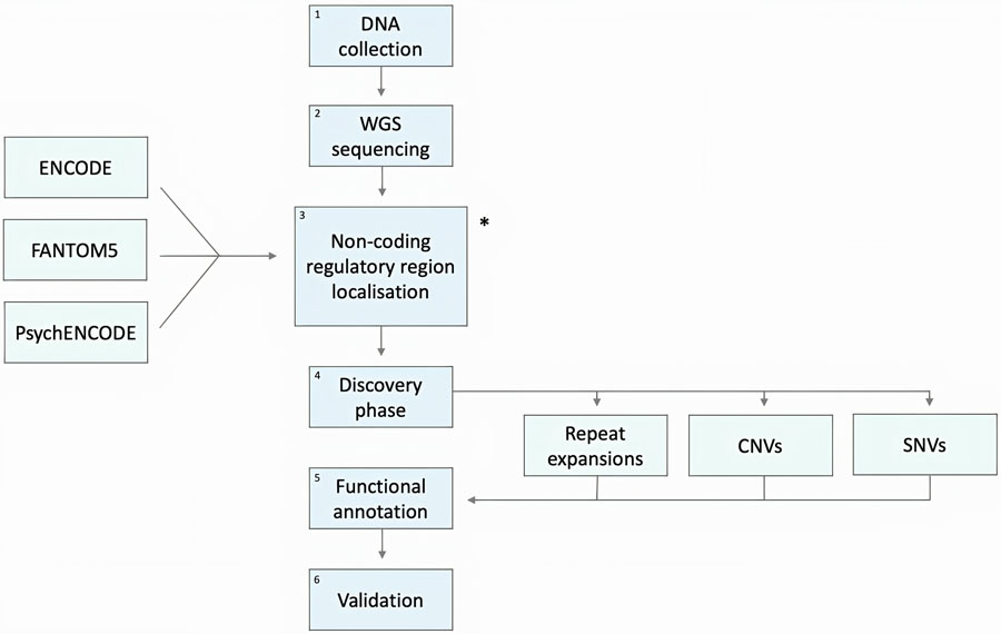 Figure 3: