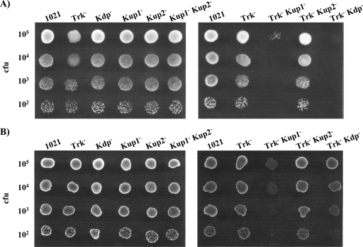 FIG. 7.