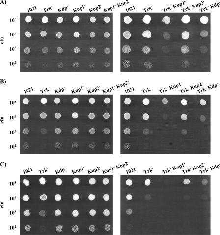 FIG. 4.