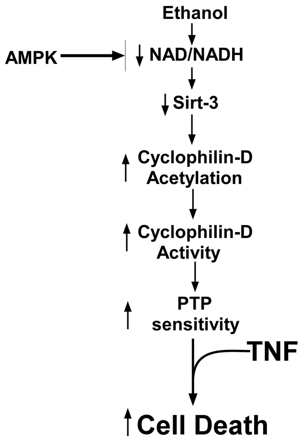 Fig. 10.