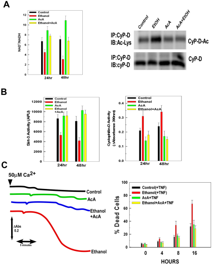 Fig. 9.