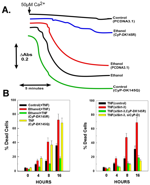 Fig. 8.