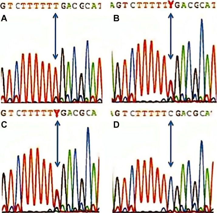 Figure 5