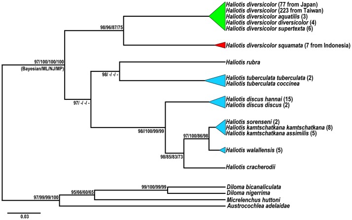 Fig 2