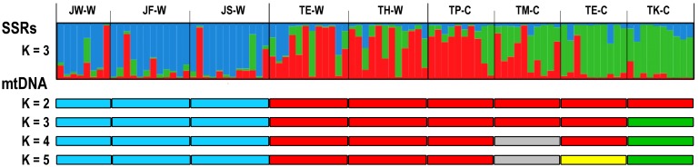 Fig 6