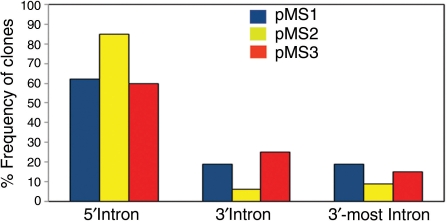 Figure 5.