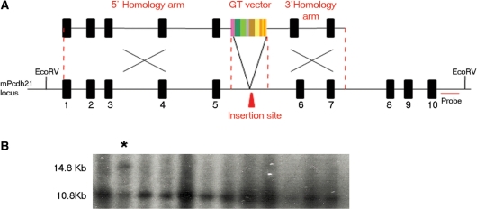 Figure 7.