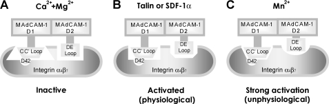 FIGURE 7.